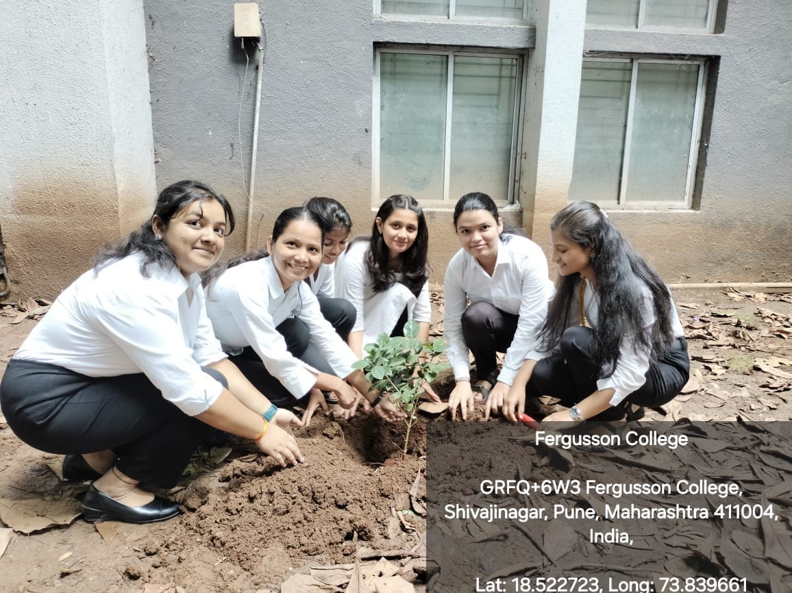  Tree Plantation